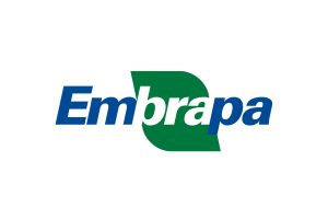 Concurso Embrapa 2025: O que você precisa saber