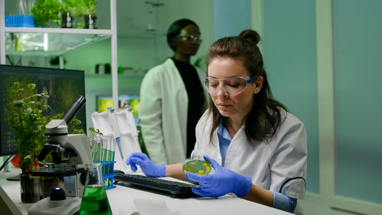 Jovem trabalhando em pesquisa em laboratório 