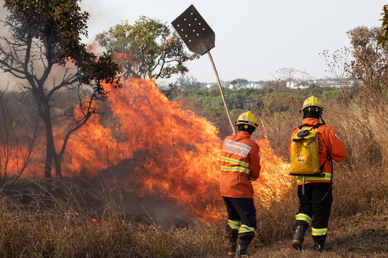 Soldados do Corpo de Bombeiros do DF combatem incêndio em Brasília 